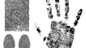 خطوات لإزالة السوابق الجنائية من سيستم وزارة الداخلية.. تعرف عليها