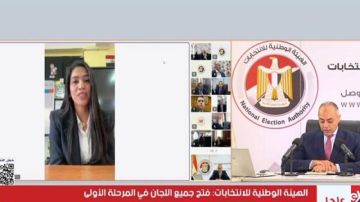 رئيس لجنة بالشيخ زايد: العملية الانتخابية تسير بسلاسة