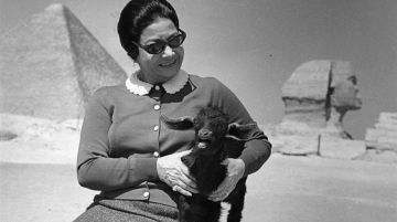 مصر.. كيف لإسرائيل أن تدعي حب من عادتها جهارا؟