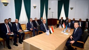 وزير الخارجية: رفض مصري كامل لأي مخططات لتقسيم السودان