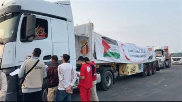 209 شاحنات مساعدات تغادر رفح نحو غزة عبر كرم أبو سالم لتسليمها للجانب الفلسطيني 209 شاحنات مساعدات تغادر رفح نحو غزة عبر كرم أبو سالم لتسليمها للجانب الفلسطيني