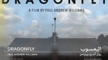 العرض الأول لفيلم اليعسوب بالشرق الأوسط وشمال أفريقيا مهرجان القاهرة.. اليوم