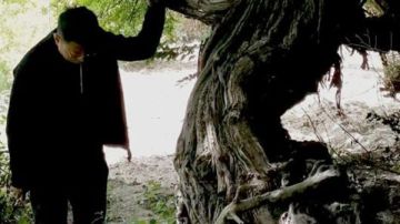 شجرة عنب عمرها 416 عاما تدهش العالم اكتشاف نادر في جبال التبت يدخل موسوعة جينيس شجرة عنب عمرها 416 عاما تدهش العالم اكتشاف نادر في جبال التبت يدخل موسوعة جينيس