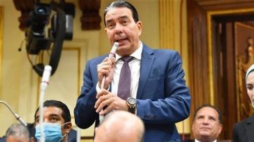 أيمن أبو العلا: خطاب الرئيس بشأن انتخابات النواب تعكس على ضمان نزاهة العملية الانتخابية