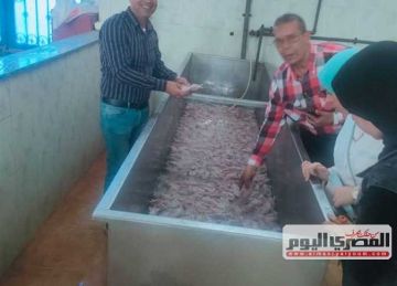 ضبط طن و671 كيلو جرام لحوم وسمان غير صالحين للاستهلاك الآدمي بكفر الشيخ