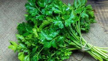 ماذا يحدث لجسمك عند وضع البقدونس على طعامك؟ ماذا يحدث لجسمك عند وضع البقدونس على طعامك؟