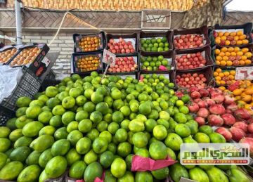  الكوسة بـ15 .. أسعار الخضار في أسواق الإسكندرية اليوم الثلاثاء 11 نوفمبر 2025