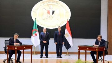 تفاصيل الوثائق ومذكرات التفاهم الموقعة ببن مصر والجزائر.. اليوم