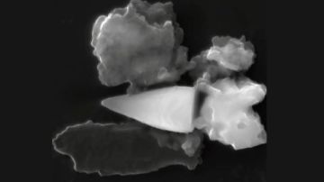 كشف علمي مذهل.. حفريات تكشف استخدام GPS طبيعي قبل 97 مليون عام