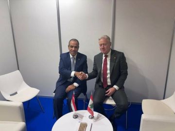 مصر ولبنان يؤكدان على التنسيق المشترك وتنفيذ قرارات مجلس الأمن الخاصة بغزة