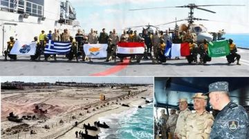 وزير الدفاع يشهد تنفيذ المرحلة الرئيسية للتدريب المشترك ميدوزا - 14