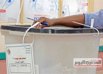 انتخابات مجلس النواب 2025.. عمليات المصري الديمقراطي سير عملية التصويت في اليوم الثاني