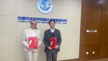 تعاون مع الصين لتعزيز الابتكار في مجال الصحة الحيوانية تعاون مع الصين لتعزيز الابتكار في مجال الصحة الحيوانية