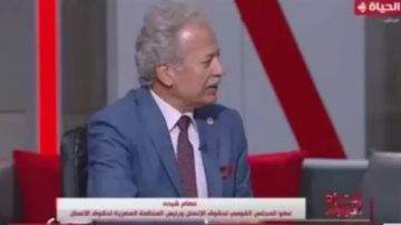 عصام شيحة: إلغاء نتائج 19 دائرة حفز المصريين بالخارج على المشاركة بكثافة