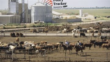 إدارة ترامب تطلق تحقيقا في احتكار اللحوم والتلاعب بالأسعار إدارة ترامب تطلق تحقيقا في احتكار اللحوم والتلاعب بالأسعار