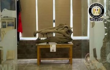 اكتشاف نوع جديد من التماسيح القديمة منذ 80 مليون عام بصحراء مصر الغربية