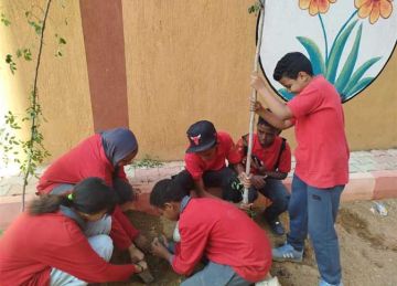 الأشجار تزين مدارس أسوان ضمن مبادرة 100 مليون شجرة 