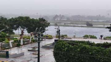 حالة الطقس غدا .. الأرصاد تحذر من شبورة وأمطار في هذه المناطق حالة الطقس غدا .. الأرصاد تحذر من شبورة وأمطار في هذه المناطق