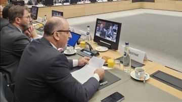 دعوة فلسطينية لتحرك دولي فاعل لتطبيق حل الدولتين ووقف الجرائم الإسرائيلية دعوة فلسطينية لتحرك دولي فاعل لتطبيق حل الدولتين ووقف الجرائم الإسرائيلية