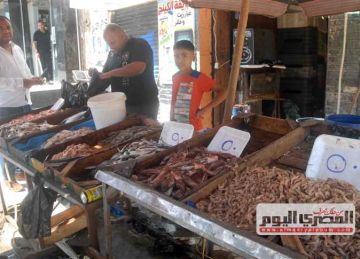 سعر السمك البلطي والسردين والجمبري بالأسواق اليوم الجمعة 14 نوفمبر 2025
