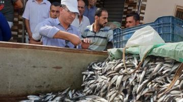 ضبط 10 أطنان أسماك فاسدة في الشرقية