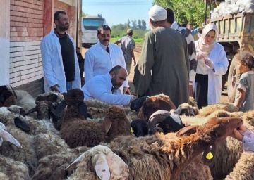 فحص 6261 طائرا ورأس ماشية خلال قافلة بيطرية في الجبالية بالغربية