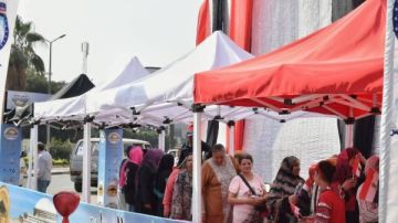 محافظ الإسكندرية يكشف عن تفاصيل اليوم الأول من انتخابات مجلس النواب داخل المحافظة