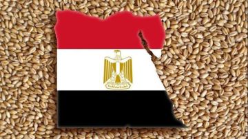 أوكرانيا تقترب من اللحاق بروسيا في سوق القمح المصري