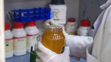 الكشف عن غش عسل النحل.. برنامج تدريبي بوزارة الزراعة