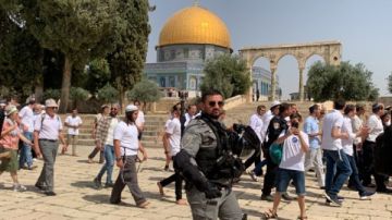 في حماية الاحتلال.. 168 مستوطنا يقتحمون باحات المسجد الأقصى