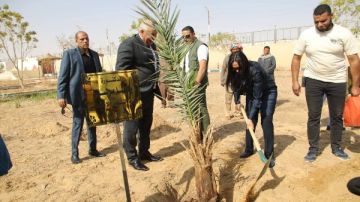 وزيرة التضامن تغرس نخلة في حديقة 30 يونيو بالوادي الجديد شاهد