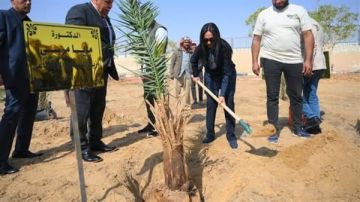 وزيرة التضامن تغرس نخلة في حديقة 30 يونيو بالوادي الجديد