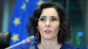 الإتحاد الأوروبي منخرط فى توصيل المساعدات الإنسانية إلى غزة ويدعم حل الدولتين