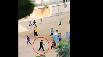 فصل 4 طلاب بمدرسة بالهرم ومجازاة المدير بسبب قطة ميتة ماذا حدث؟