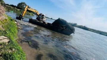 حملة مكبرة لازالة ورد النيل من مجرى النهر فى دمياط حملة مكبرة لازالة ورد النيل من مجرى النهر فى دمياط