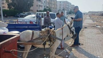 رئيس حي جنوب الغردقة يضبط مخالفات بيئية ويتابع أعمال التطوير بشارع الحجاز رئيس حي جنوب الغردقة يضبط مخالفات بيئية ويتابع أعمال التطوير بشارع الحجاز