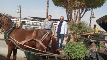 محافظ الأقصر: جولات مفاجئة بالقطاعات الخدمية لتقديم صورة حضارية للسياح