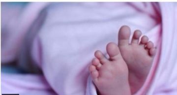 العثور على رضيع حديث الولادة داخل الزراعات بطريق نقادة في قنا العثور على رضيع حديث الولادة داخل الزراعات بطريق نقادة في قنا