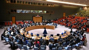 جمال عبد الجواد: قرار مجلس الأمن فرصة غير مسبوقة للقضية الفلسطينية