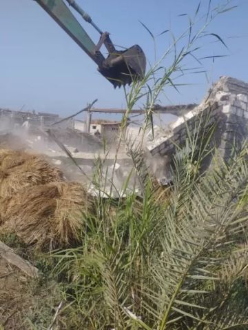 حملات مكبرة لإزالة التعديات على أراضي الدولة بجنوب بورسعيد.. صور