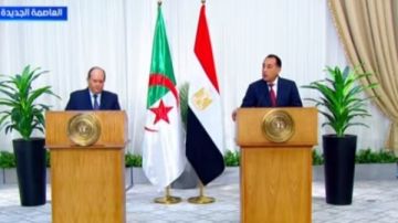 رئيس الوزراء الجزائري: التعاون مع مصر يركز على بناء شراكات مستدامة