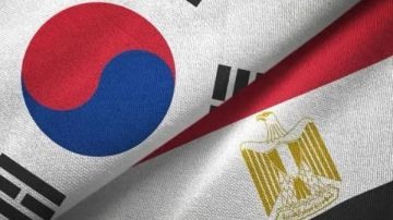 فرص واعدة بين مصر وكوريا التبادل الاقتصادي يتجه للنمو مجددا ومستقبل مشرق للعلاقات.. خبير يوضح