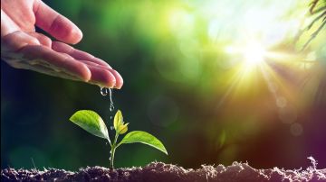 هل الصدقة تكفي لتكفير الذنوب؟.. أمين الإفتاء يجيب