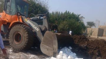 الزراعة: إزالة 167 حالة تعد في المهد خلال يومين الزراعة: إزالة 167 حالة تعد في المهد خلال يومين