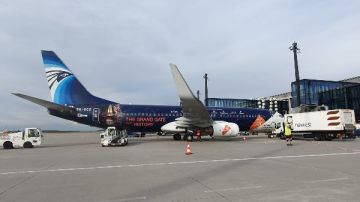 حملة دعاية دولية مصر للطيران تحلق بطائرة مزينة بالكامل بشعار المتحف حول العالم.. صور