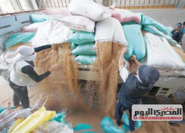 شركة مصرية تتولى توريد المكون الأجنبي للصوامع