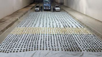 صفقة بـ150 مليون جنيه.. سقوط أخطر عصابات المخدرات بالسويس