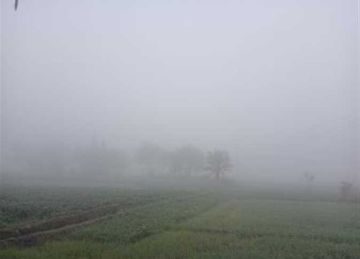 طقس الشرقية.. شبورة مائية كثيفة وتحذيرات بتوخي الحذر أثناء القيادة