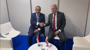 وزير الخارجية يؤكد لنظيره اللبناني ثوابت الموقف المصري الداعم لوحدة لبنان واستقراره