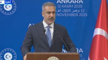 وزير خارجية تركيا: نتعاون مع مصر من أجل إيصال المساعدات الإنسانية لغزة